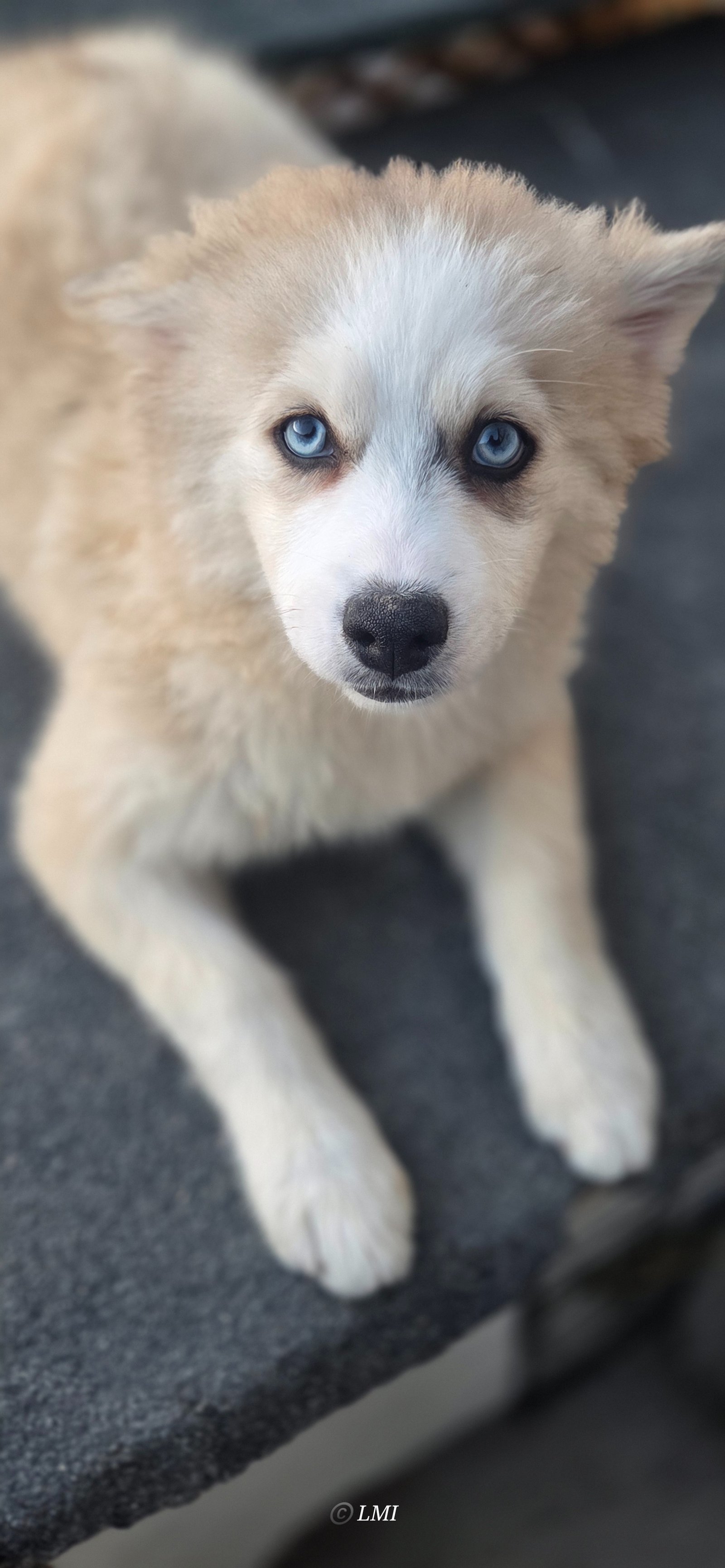 Photo de Psychadelya