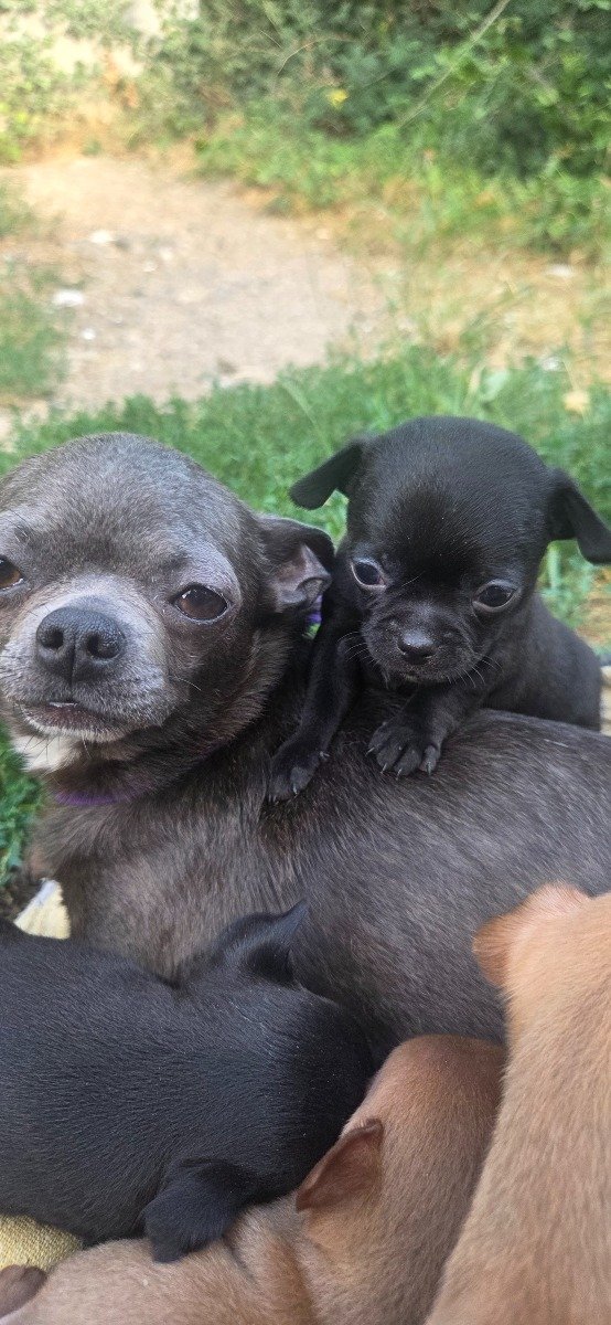 Photo de Batman LMI