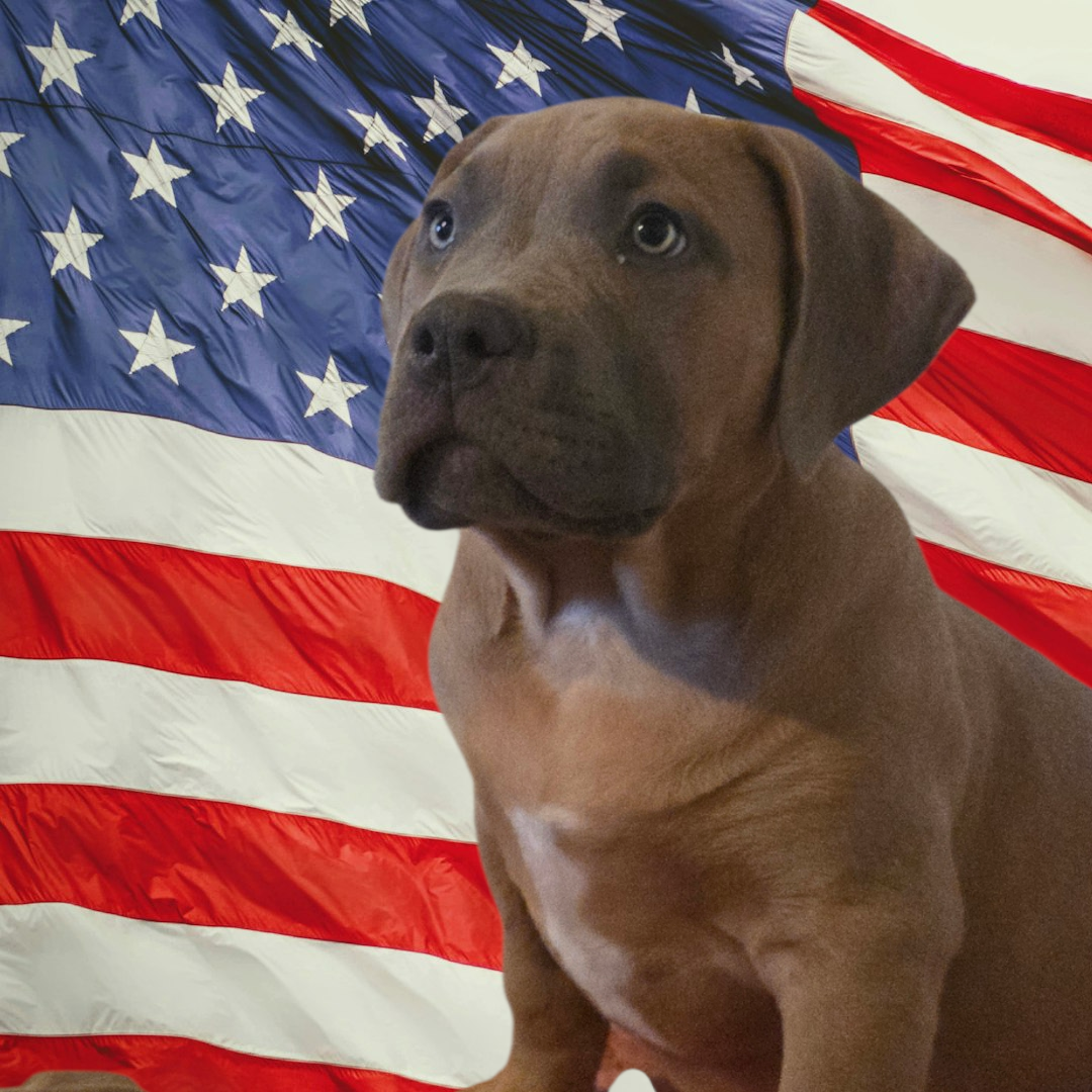 Photo de ALIAS BOTOX