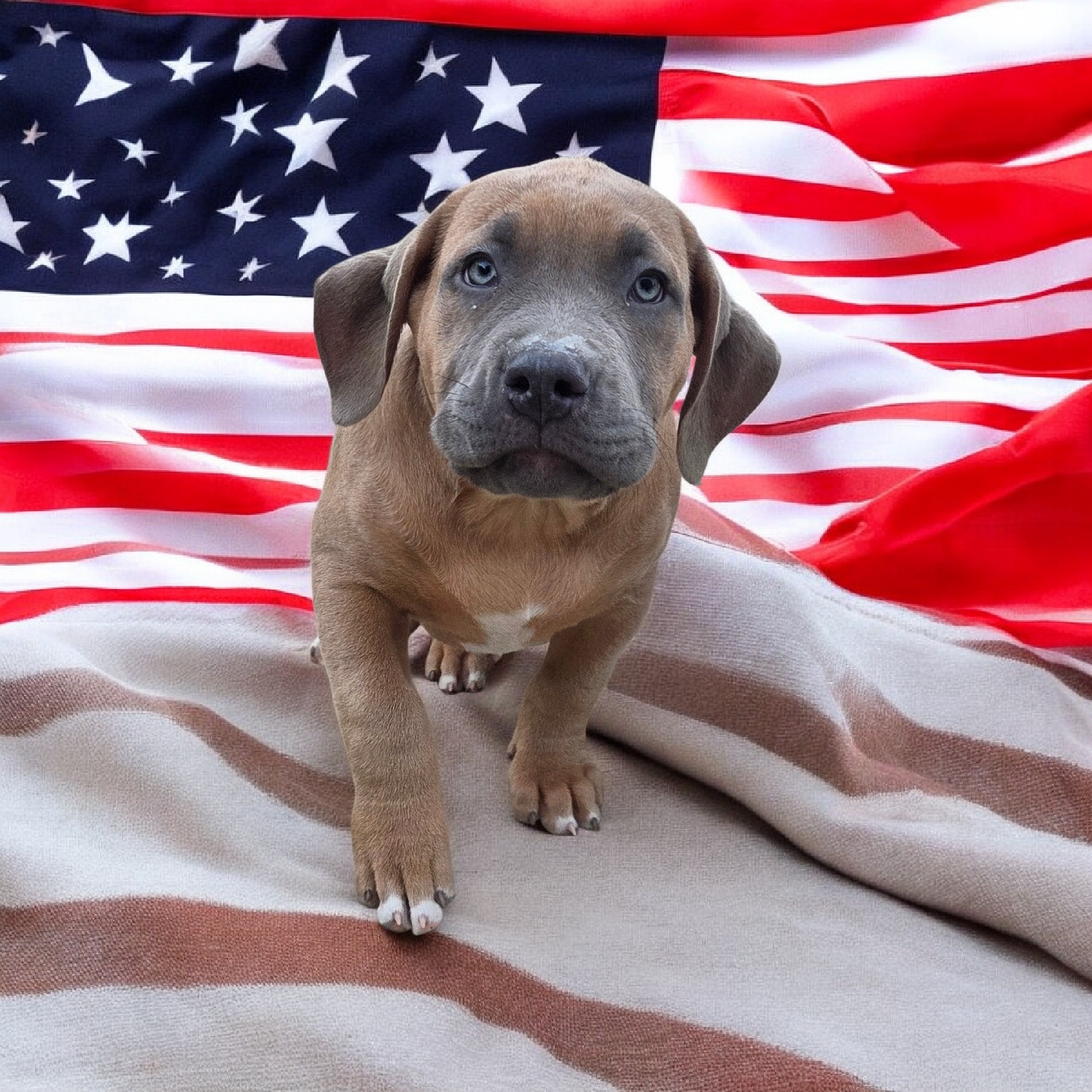 Photo de ALIAS BOTOX