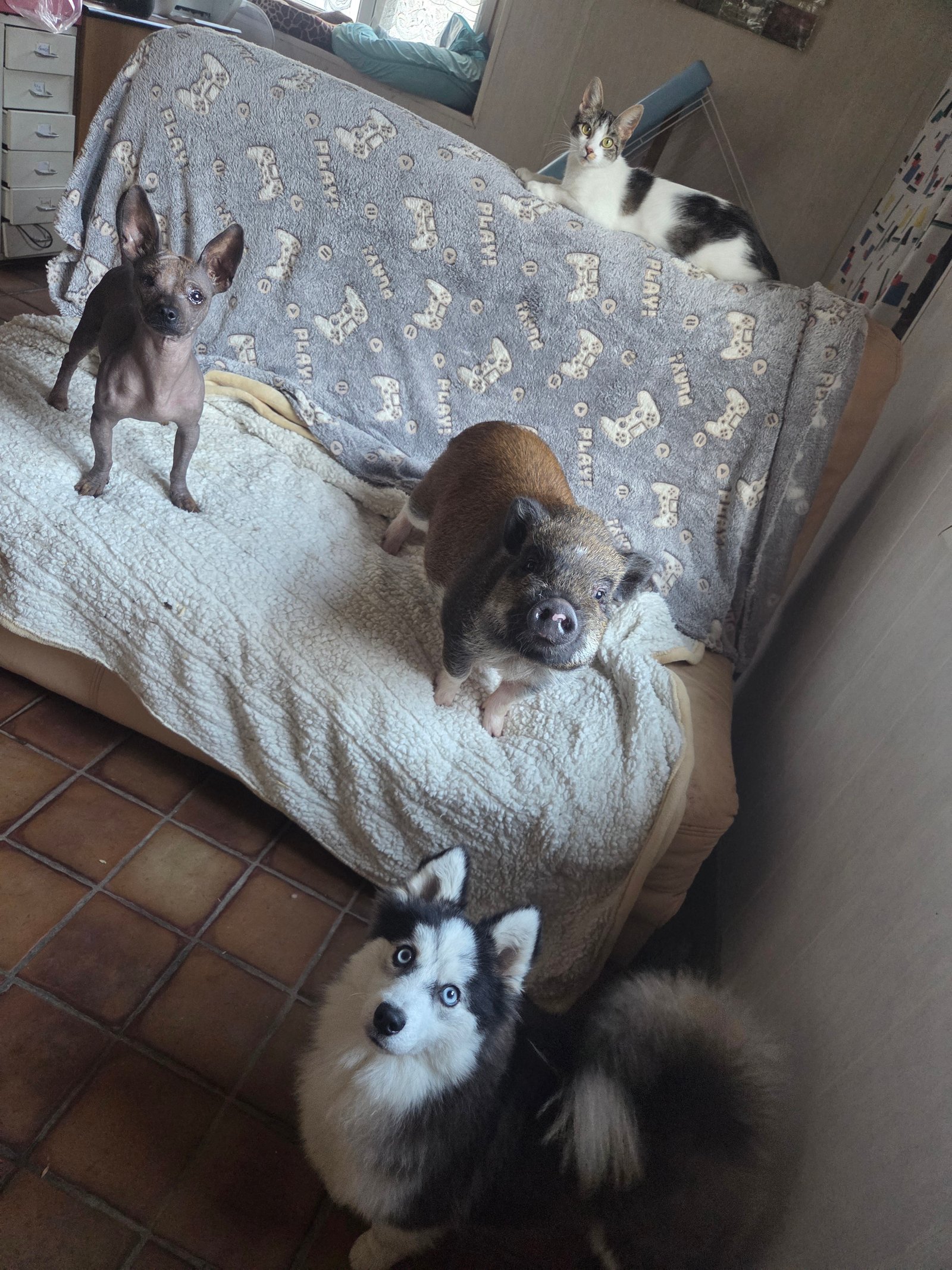 VIE DE FAMILLE