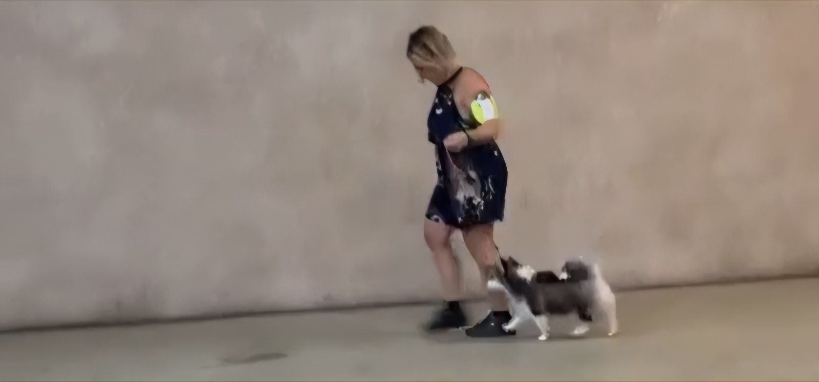Agility