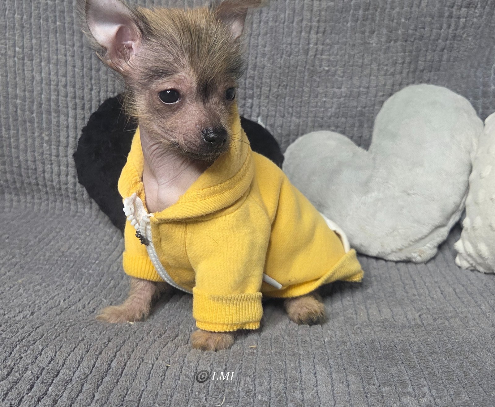 Photo de Banzaiii 2 La M3ut3 Impéri4le