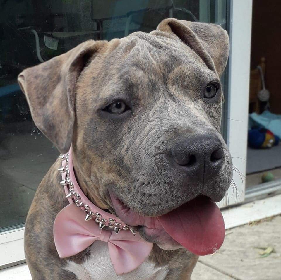 Photo de Taya Du Royaume D'Kera