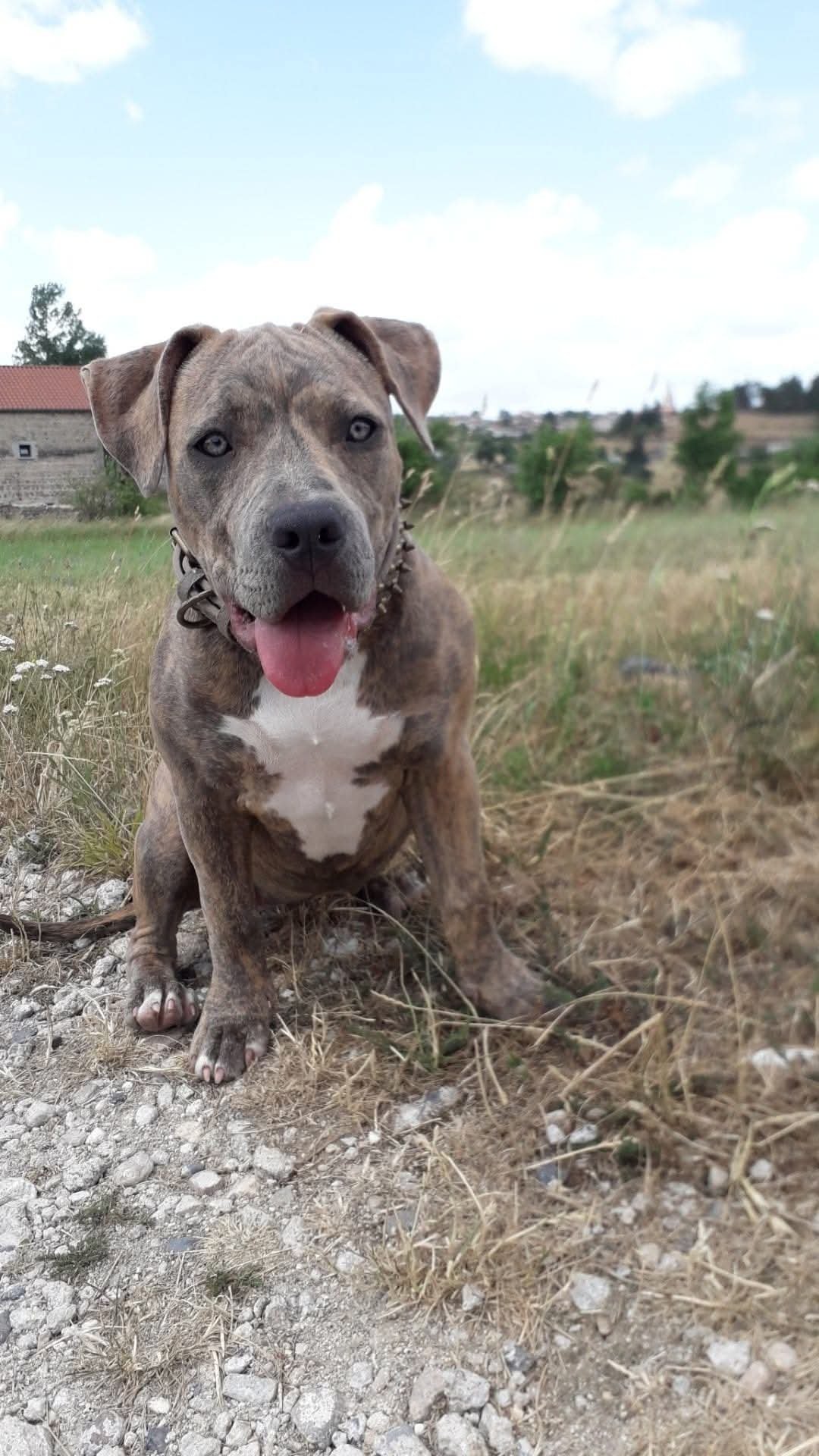 Photo de Taya Du Royaume D'Kera