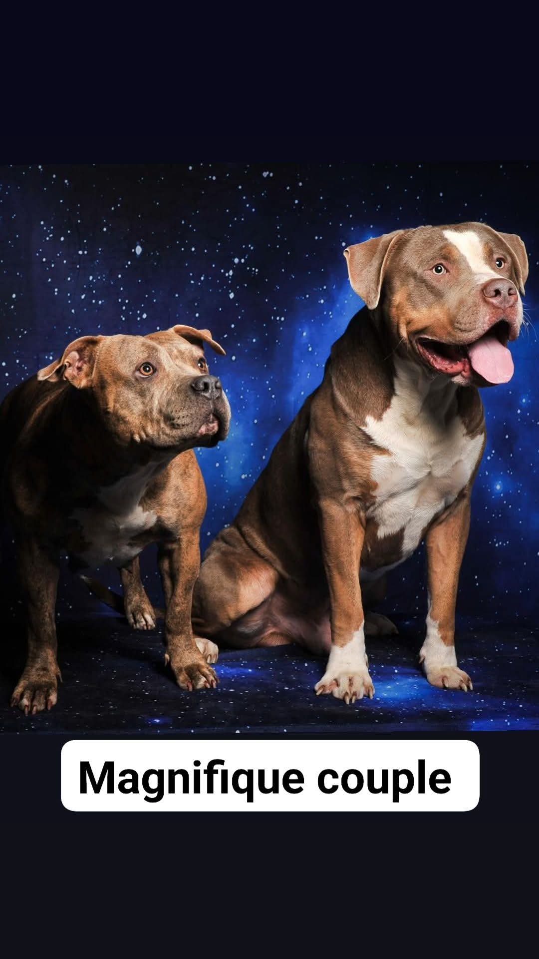 Photo de Taya Du Royaume D'Kera